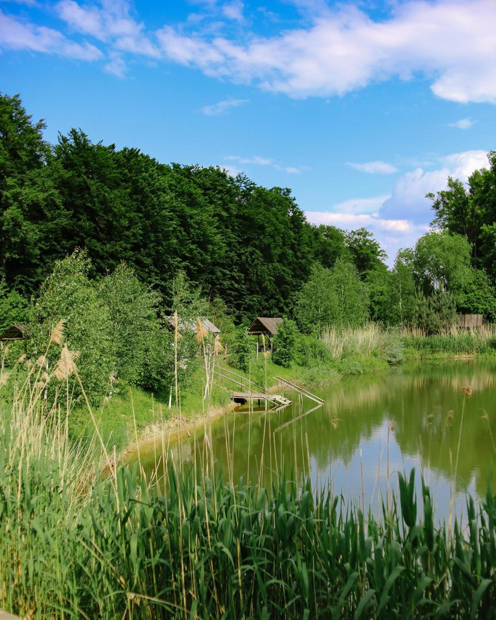 Orlyne Gnizdo 3* Чернівці